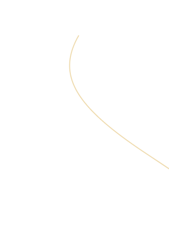BG Line1