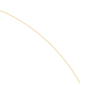 BG Line2 (1)