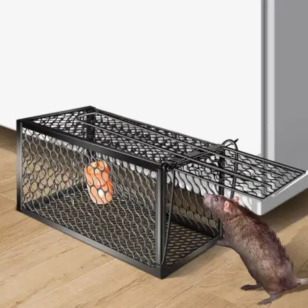 126nVCMBGwNho96ioPouaBPUKVoOK6cYgkiM75je.webp Foldable Mouse Trap Squirrel Trap Small Live Animal Trap Mouse Voles Hamsters Live Cage Rat Mouse Cage Trap for Mice Easy to Catch and Release ( default, SMALL ).