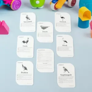 KidKraft Early Learner Educational Flashcards – 32 Birds Identification Cards ( default, OS )