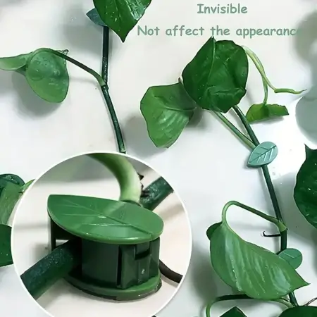 PVOWJKYrmpHrHv6aK6py0zSsTYqwVXCFl2ud8Kif.webp Plant Climbing Wall Fixture Clip Self-Adhesive Hook Vines Traction Invisible Stand Green Plant Clip Garden Wall Clip Plant Support Binding Clip Plants for Indoor Outdoor Decoration (10 Pcs Se