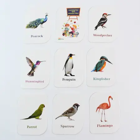 SN9wHqOnWmF0IwCfrDHNLSagCSricStGW4UyTkQG.webp KidKraft Early Learner Educational Flashcards – 32 Birds Identification Cards ( default, OS )
