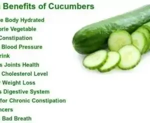Desi Kheera/Cucumber seeds for planting | 50 seeds per pack ( default, OS )