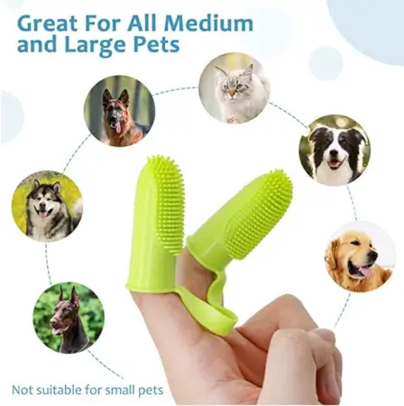 h5MXrUmevnD7k06rIdjvuACiCB7PdDG3k7eQDm36.webp Pet Finger Toothbrush Soft Bristle Dental Cleaning Brush for Dogs Cats and Small Pets ( default, Standard )