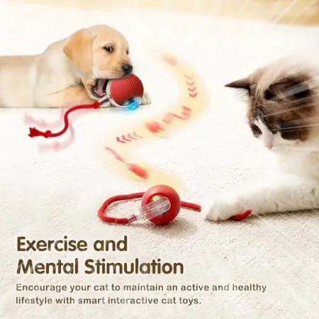 hhDrYFQXza7CX5bJAdwXWRvUhWxAViKFzMepkszq.webp Smart Automatic Self Moving Cat Toy Ball Electric Interactive Rolling Pet Toy with USB Charging for Cats and Small Dogs ( default, OS )