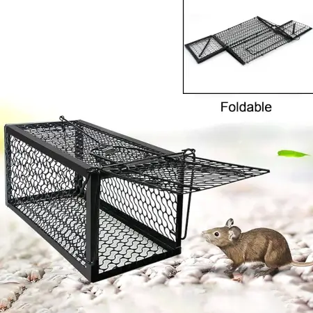 nlvkpauIN32Vcu1Em1tTSYNQQITIp5dPyh33kTbz.webp Foldable Mouse Trap Squirrel Trap Small Live Animal Trap Mouse Voles Hamsters Live Cage Rat Mouse Cage Trap for Mice Easy to Catch and Release ( default, SMALL ).
