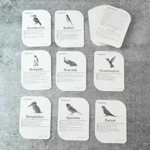 KidKraft Early Learner Educational Flashcards – 32 Birds Identification Cards ( default, OS )