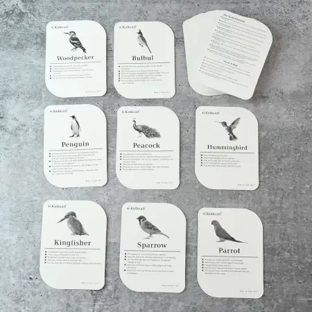 yT20RSvPuYZWbycg3Xqnmcx2AziPCRdFgm4RYn54.webp KidKraft Early Learner Educational Flashcards – 32 Birds Identification Cards ( default, OS )
