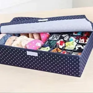 16 Grid Foldable Drawer Organizer – Innerwear Storage Box